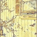 Ukiyo Window 1 by olivetreeann