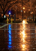 29th Jan 2013 - Parking Lot in the Rain