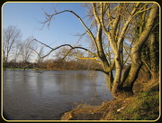 30th Jan 2013 - Sunlight over flooded river