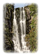 30th Jan 2013 - Pistyll Waterfall 