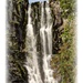 Pistyll Waterfall  by beryl