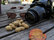 30th Jan 2013 - Props for a Morning Walk