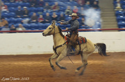 30th Jan 2013 - Fort Worth Stock Show