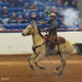 Fort Worth Stock Show by lynne5477