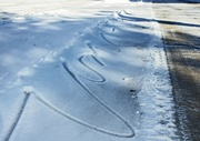 30th Jan 2013 -  tracks in the snow