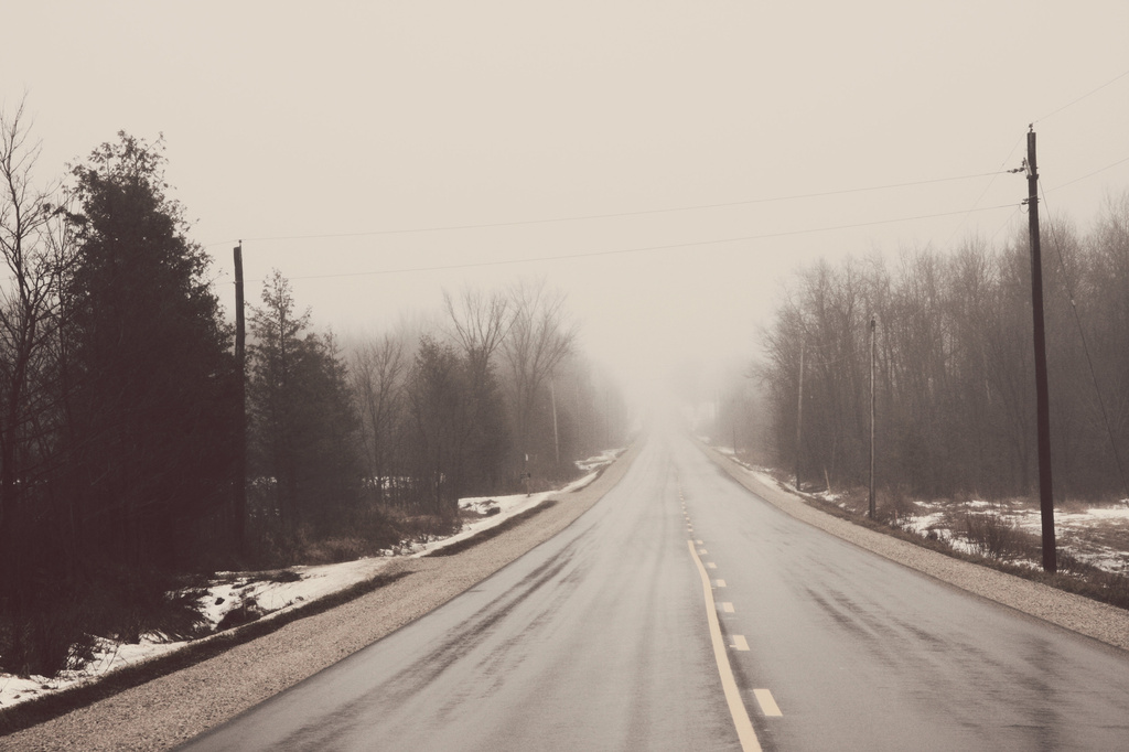 foggy highway by edie