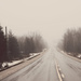 foggy highway by edie