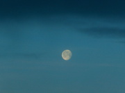 30th Jan 2013 - Morning Moon