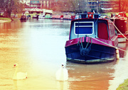 31st Jan 2013 - On the river
