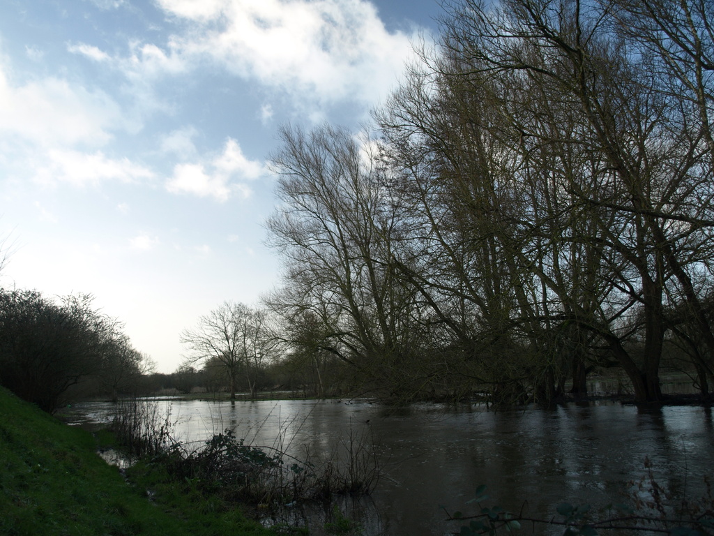 River Avon Salisbury week five - 31-1 by barrowlane