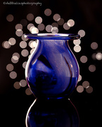 31st Jan 2013 - 31.1.13 Vase full of bokeh