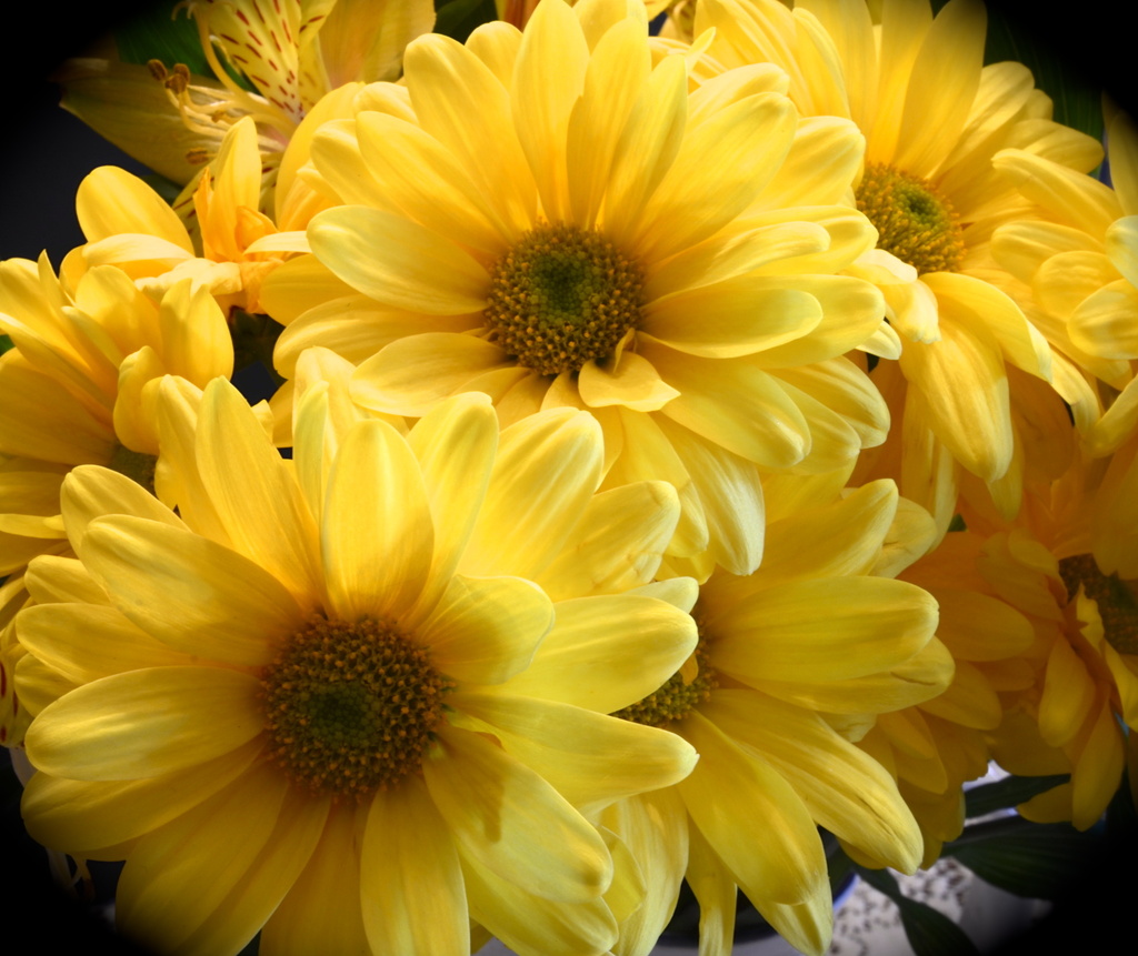 Sunshine from the flowers by kathyladley