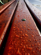 31st Jan 2013 - Wet bench