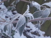 10th Jan 2013 - Yet another Frosty Day