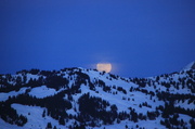 29th Jan 2013 - Blue moon