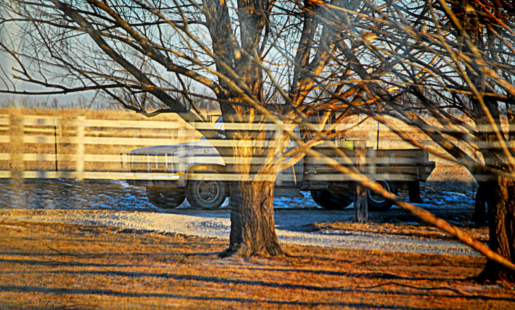 The Illusory White Picket Fence by kareenking