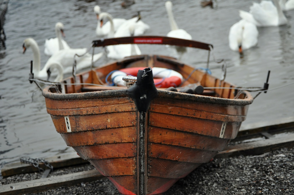 Boat and Swans by andycoleborn