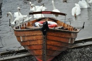 24th Jul 2010 - Boat and Swans