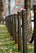 31st Jan 2013 - Chain and Post Fence