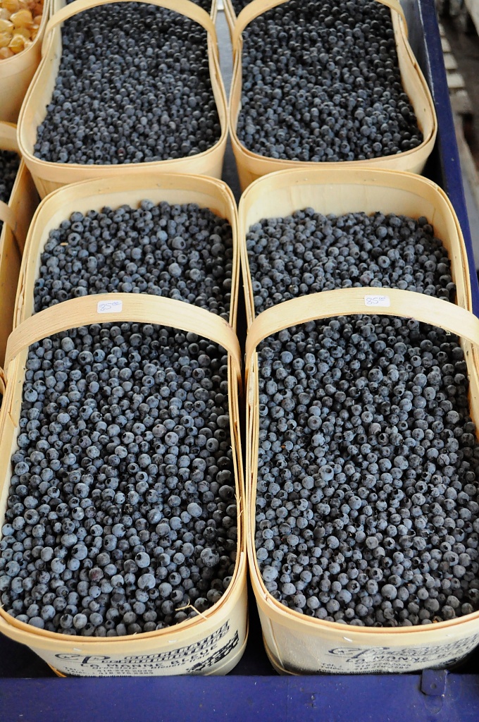Blueberries by dora