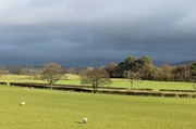 1st Feb 2013 - Rain coming in from the east.