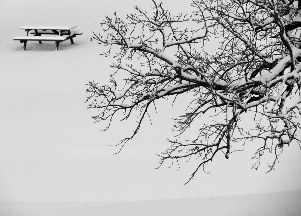 Winter Picnic by juletee