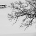 Winter Picnic by juletee