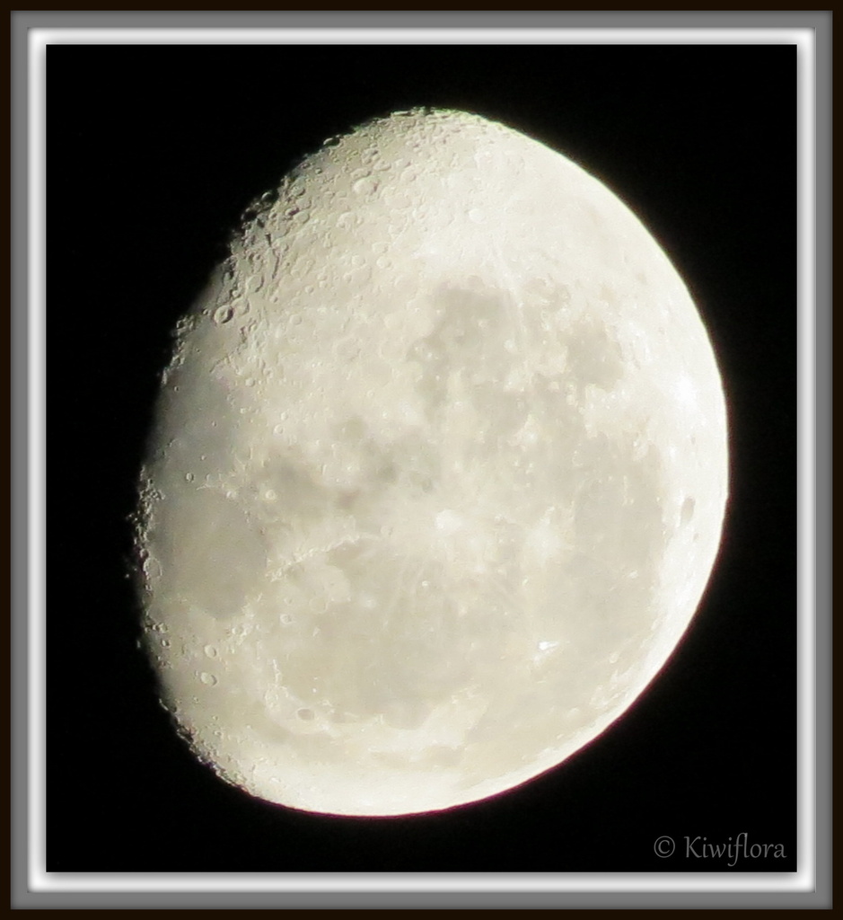 Moon by kiwiflora