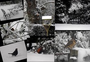 1st Feb 2013 - Memories of the snow...
