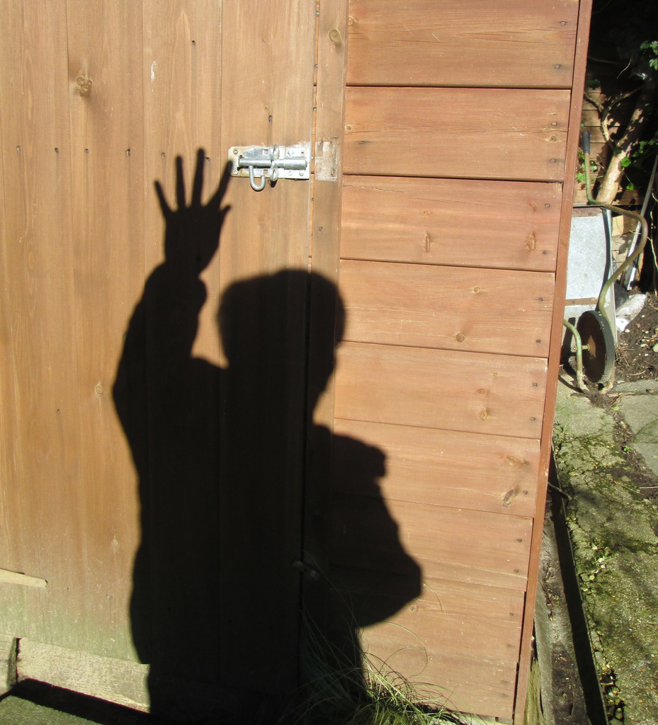  a total set-up, selfie, 'shadow' by quietpurplehaze