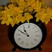 Daffodils ''tomorrow'' by rosbush
