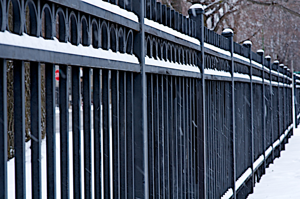 Fence in Snow by taffy