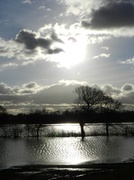 3rd Feb 2013 - Afternoon on the Ings