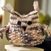 I Made An Owl by naomi