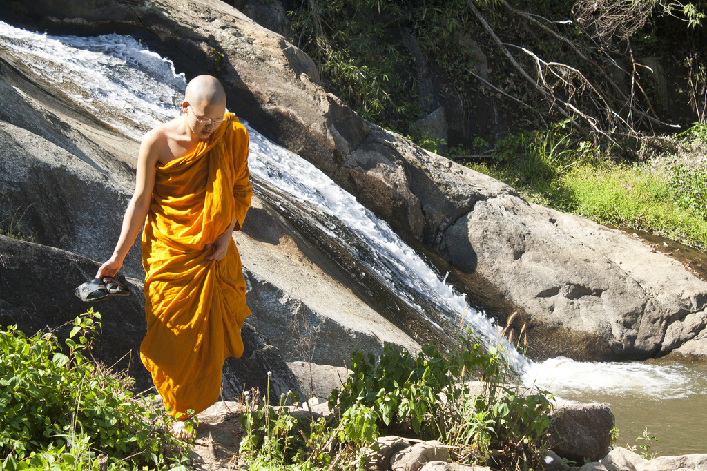 Buddhist Monk by lily
