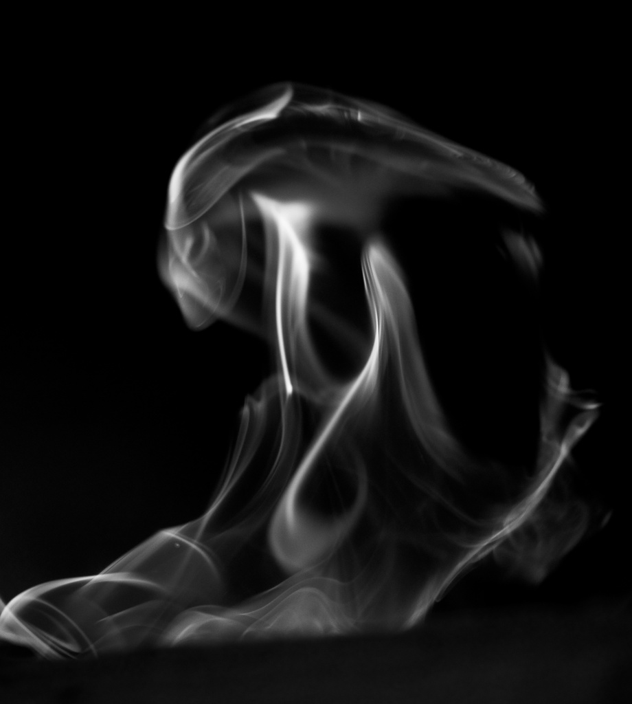 Flames in Black and White by taffy