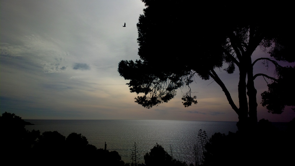 Sunset at the Mediterranean sea by petaqui
