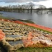 The Cost of Flood Defences by if1
