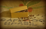 4th Feb 2013 - Coffee Beans