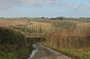 4th Feb 2013 - Long and winding road