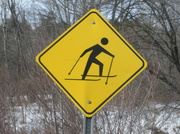 4th Feb 2013 - Threat Down: Escher Skiers 