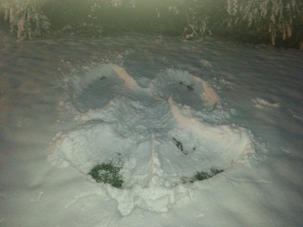 Snow Angel by clairecrossley