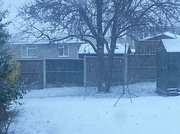 25th Jan 2013 - Snowing Again