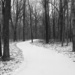 Day 35:  Snowy Path by lisabell