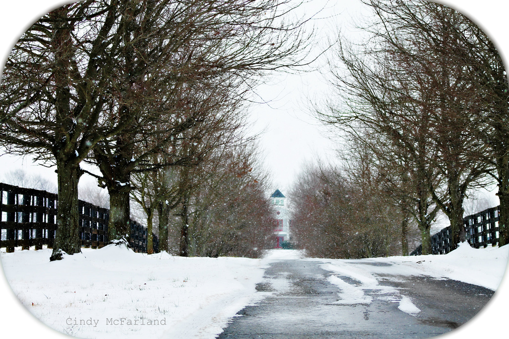Snowy Drive by cindymc