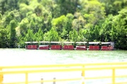 5th Feb 2013 - On the Daintree River