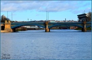 5th Feb 2013 - Trent Bridge