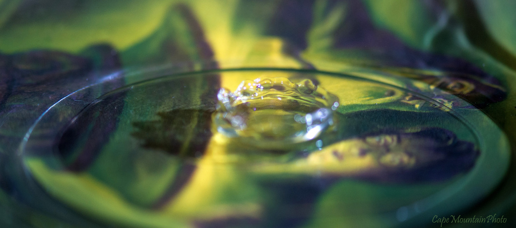 Another Water Drop Attempt  by jgpittenger