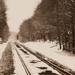 Tracks in the Snow  by cindymc