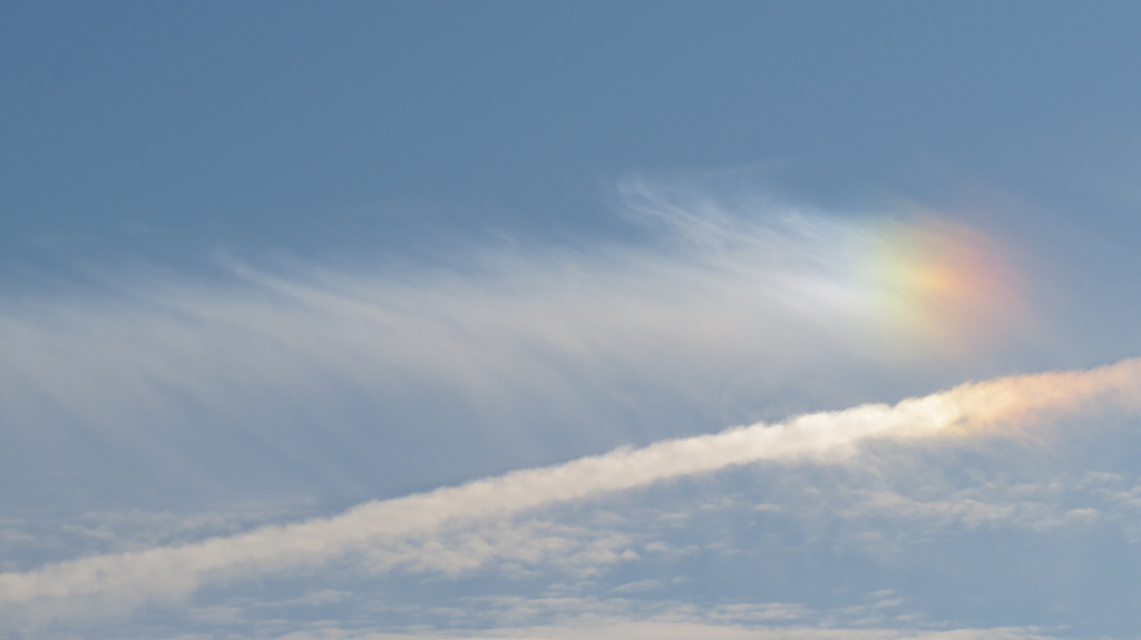 Sun Dog 2 by juliedduncan